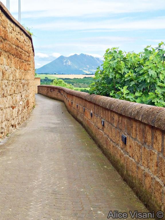 Suali Case Nel Borgo Civita Castellana Exterior photo